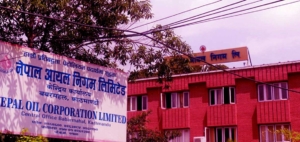 एलपी ग्यासको मूल्य प्रतिसिलिन्डर २५ रुपियाँका दरले बढ्यो, पेट्रोल, डिजेल र मट्टीतेलको मूल्यमा प्रतिलिटर एक रुपैयाँ घट्यो