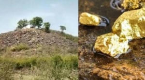 भारतमा भेटियो तीन हजार टनको सुन खानी