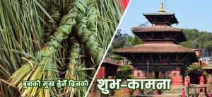 आज कुशे औँशी पर्व, बुबाको मुख हेरेर मनाइँदै