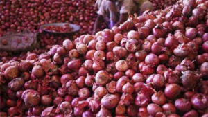 मूल्यभन्दा दोब्बरमा प्याज बेचेर उपभोक्ता ठगी गर्ने बल्खु तरकारी बजारका दुई व्यापारी पक्राउ