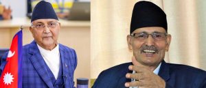 संवैधानिक परिषदको बैठक रोकियो