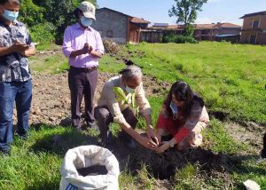 ग्लोबल आइएमई बैंक र त्रिविको सहकार्यमा वृक्षारोपण कार्यक्रम ग्लोबल आइएमई बैंक र त्रिविको सहकार्यमा वृक्षारोपण कार्यक्रम