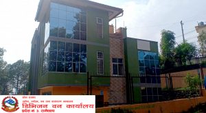 रामेछाप वन कार्यालयमा कर्मचारी अभाव हुँदा काम गर्न समस्या रामेछाप वन कार्यालयमा कर्मचारी अभाव हुँदा काम गर्न समस्या