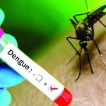 डेंगी संक्रमण ७६ वटा जिल्लामा फैलियो, हालसम्म २९ जनाको मृत्यु