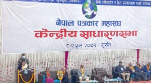 यस्तो छ नेपाल पत्रकार महासंघद्वारा ‘सुर्खेत घोषणा पत्र-२०७९’ यस्तो छ नेपाल पत्रकार महासंघद्वारा ‘सुर्खेत घोषणा पत्र-२०७९’