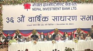 नेपाल इन्भेष्टमेण्ट बैंकको साधारणसभाबाट मेगा बैंकसँग मर्जरमा जाने निर्णय पारित