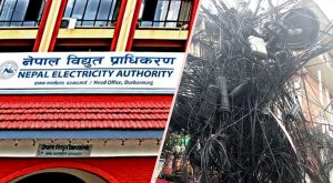 विद्युत प्राधिकरणको एक्सनपछि पोल भाडा बापतको बक्यौता रकम तिर्न इन्टरनेट सेवा प्रदायक सहमत विद्युत प्राधिकरणको एक्सनपछि पोल भाडा बापतको बक्यौता रकम तिर्न इन्टरनेट सेवा प्रदायक सहमत