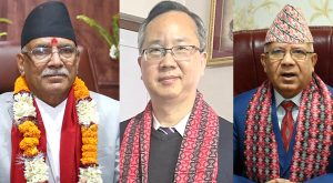 चिनियाँ राजदूतको राजनीतिक भेटवार्ता तीव्रता