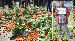 मूल्य नपाएपछि सडकमै तरकारी फ्याँकेर विरोध मूल्य नपाएपछि सडकमै तरकारी फ्याँकेर विरोध