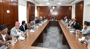 रेशम चौधरीलाई आममाफी दिन राष्ट्रपतिलाई सिफारिस गर्ने मन्त्रिपरिषद्को निर्णय रेशम चौधरीलाई आममाफी दिन राष्ट्रपतिलाई सिफारिस गर्ने मन्त्रिपरिषद्को निर्णय