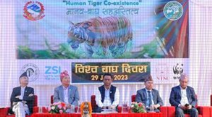 यो वर्ष हामी चिडियाखानामा टाईगर गेट बनाउँदैछौं, जसले यो चिडियाघरको रिफलेक्सन गर्छ: मेयर चिरिबाबु महर्जन