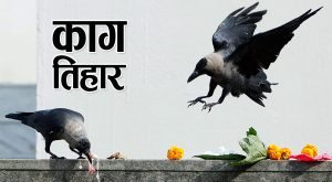 ‘काकेन दधि भक्षितम्’ आज काग तिहार मनाइँदै