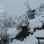 उच्च पहाडी तथा हिमाली भागका एक/दुई स्थानमा हल्का वर्षा र हिमपातको सम्भावना, तराई भेगमा हुस्सु लाग्ने
