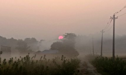 हुस्सु र कुहिरोको कारण तराई मधेसको जनजीवन प्रभावित