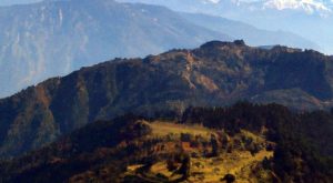 फूलचोकी जंगलमा हराएका १३ जना युवायुवतीको उद्धार