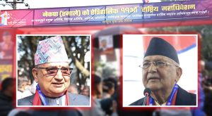 एमालेमा १९ पदाधिकारीका लागि ४१ जना चुनावी मैदानमा