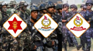 सुरक्षा संयन्त्रमाथि हचुवाको भरमा अस्वभाविक प्रतिशोध