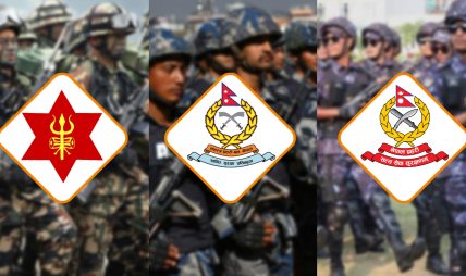 सुरक्षा संयन्त्रमाथि हचुवाको भरमा अस्वभाविक प्रतिशोध